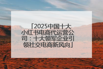 2025中国十大小红书电商代运营公司：十大领军企业引领社交电商新风向