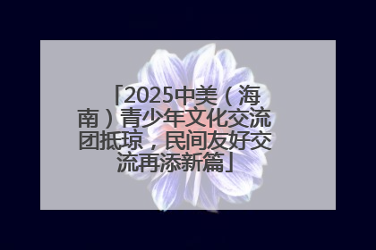 2025中美（海南）青少年文化交流团抵琼，民间友好交流再添新篇