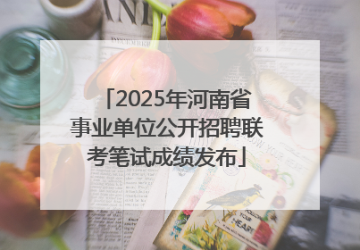 2025年河南省事业单位公开招聘联考笔试成绩发布