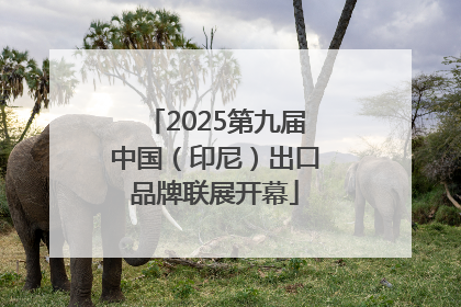 2025第九届中国（印尼）出口品牌联展开幕