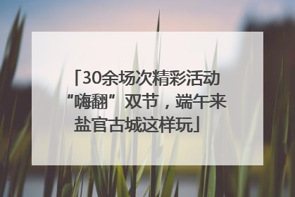30余场次精彩活动“嗨翻”双节，端午来盐官古城这样玩
