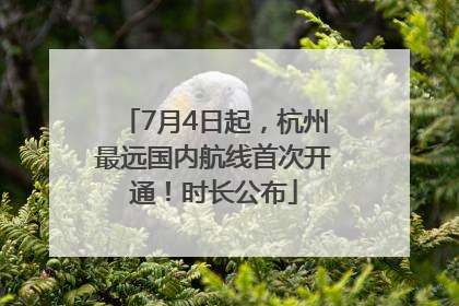 7月4日起，杭州最远国内航线首次开通！时长公布