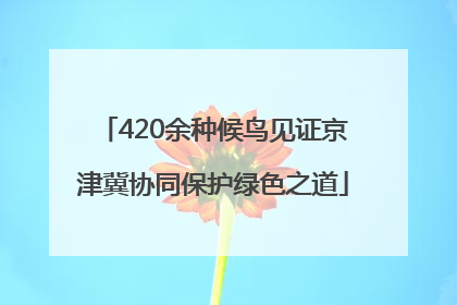 420余种候鸟见证京津冀协同保护绿色之道