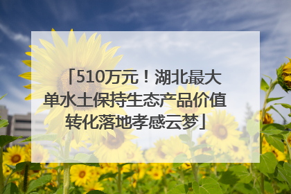510万元！湖北最大单水土保持生态产品价值转化落地孝感云梦