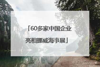 60多家中国企业亮相挪威海事展