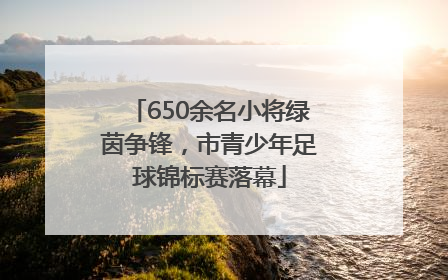 650余名小将绿茵争锋，市青少年足球锦标赛落幕