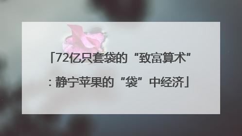 72亿只套袋的“致富算术”：静宁苹果的“袋”中经济
