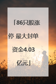 86只股涨停 最大封单资金4.03亿元