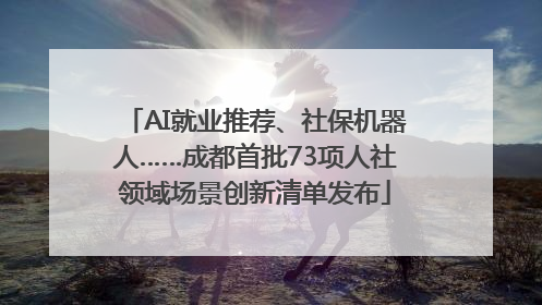 AI就业推荐、社保机器人……成都首批73项人社领域场景创新清单发布