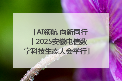 AI领航 向新同行丨2025安徽电信数字科技生态大会举行