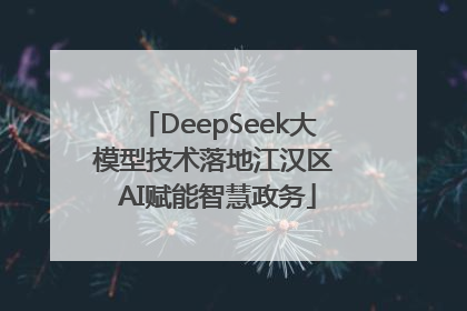 DeepSeek大模型技术落地江汉区 AI赋能智慧政务
