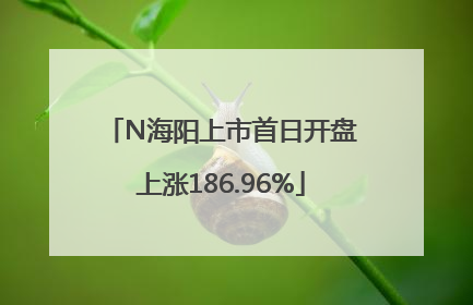N海阳上市首日开盘上涨186.96%